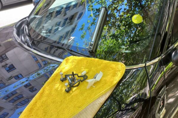 Ремонт тріщин автоскла: ціна та особливості послуги в Києві